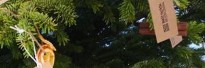 MYZ tags on Christmas tree